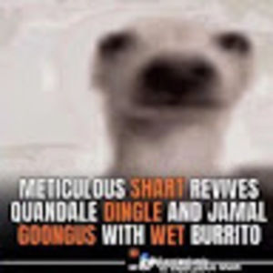 Meet your Posher, Jackson